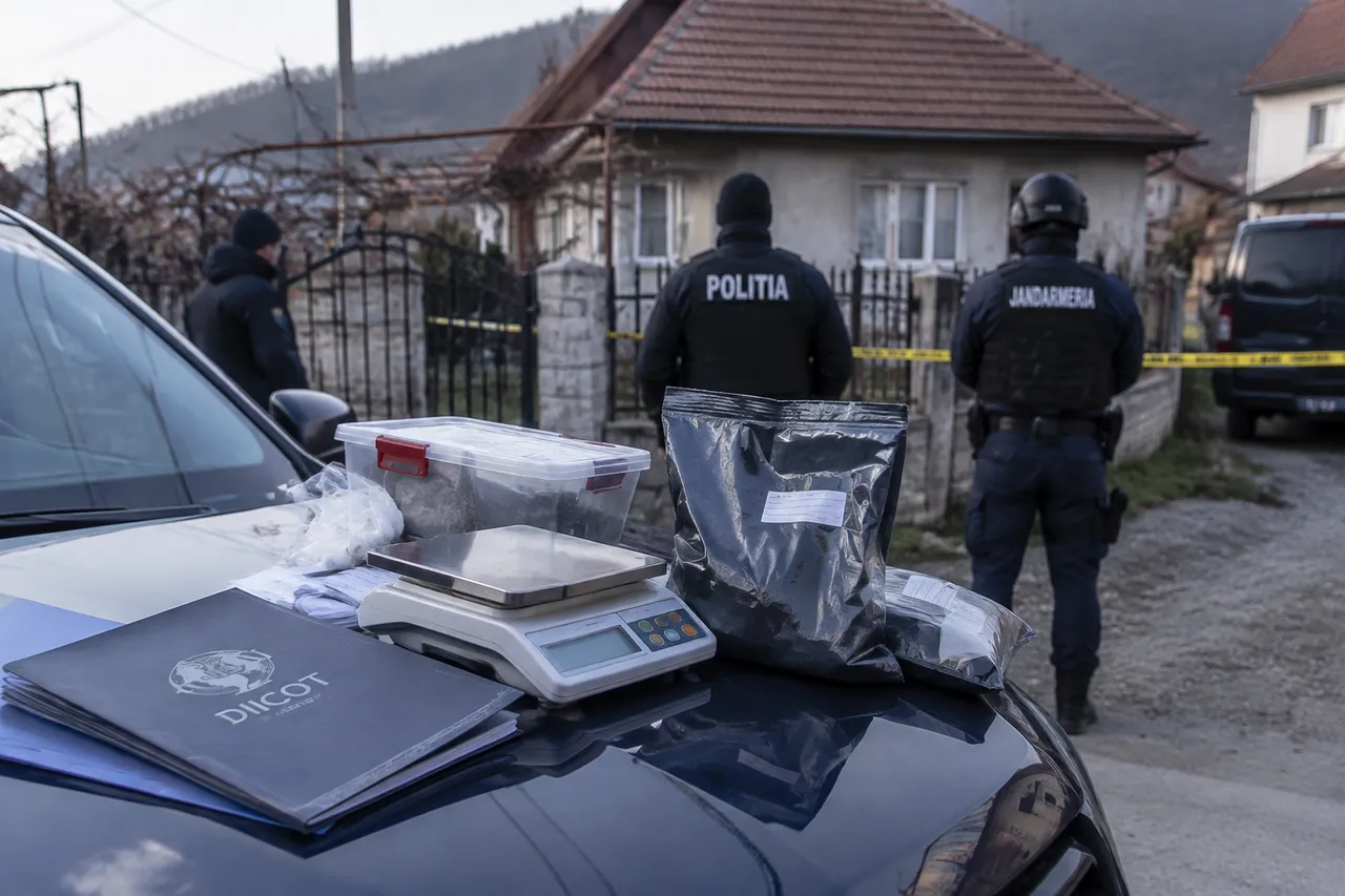 Doi bărbați din Călan, reținuți după percheziții într-un dosar de trafic de canabis