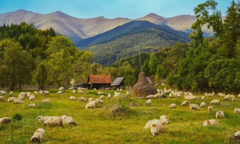 Valea Jiului, acasă la momârlani: satele unde muntele face parte din viața de zi cu zi